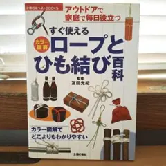 Item thumbnail for item 67418bed-4133-470d-bbe3-d145a60fe376