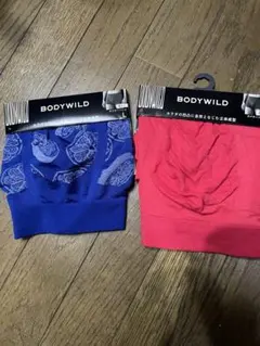 お値下げ メンズ下着 グンゼ ボディワイルド Lサイズ  2枚セット