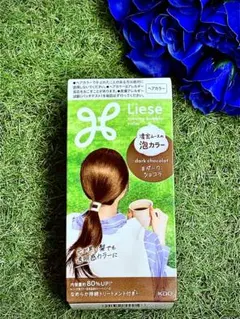 【新品・未開封】リーゼ 泡カラー ダークショコラ ヘアカラー 花王のサムネイル