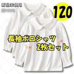 女の子 長袖 ポロシャツ 白 丸襟 綿100％ 2枚 入学式 通学 120サイズ