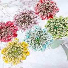 押し花素材＊レースフラワー　中サイズ44