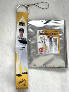 Item thumbnail for item 0c34b049-b3fb-430d-b86c-55d7a12ae969