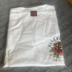 Item thumbnail for item 34c9cf8a-3194-4519-8044-8627160c4455