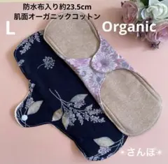 Item thumbnail for item 39b643b1-60b8-4bed-8f91-2cd20aaa44e7