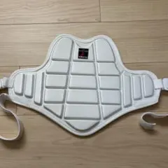 Item thumbnail for item 0636db1c-3b4e-4e32-aa58-dfe068678a64