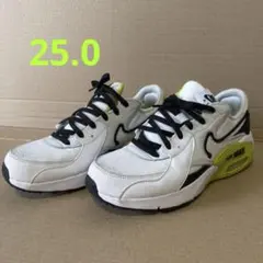 ナイキ AIR MAX エクシー 25cm