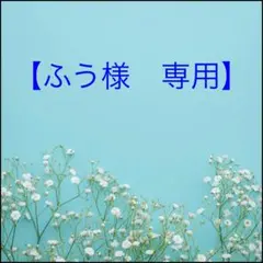 ふう様 リクエスト 3点 まとめ商品