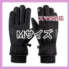 Item thumbnail for item 5bb9868d-36ae-4baf-b6b8-c7bc162fa7c2