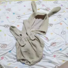 十五夜フォト　うさぎ