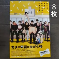 映画　カメの甲羅はあばら骨　チラシ　フライヤー　８枚.
