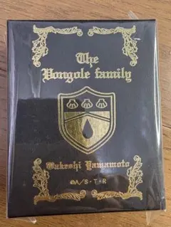 新品未使用　ボンゴレリング　雨　山本武