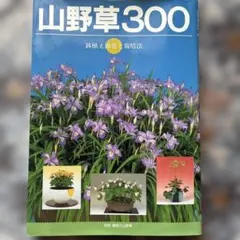 Item thumbnail for item 9fa7cb11-1749-4a12-9938-5e7be2935642