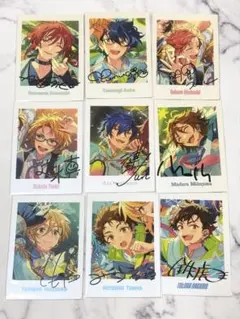 ぱしゃっつ 10周年 9枚セット