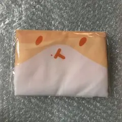 2025年最新】TEOLAEGIの人気アイテム - メルカリ