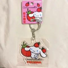 サンリオ　シナモン　アクリルキーホルダー　ご当地限定　栃木　新品未使用