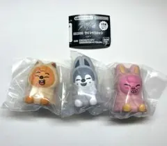 SKZOO ライトマスコット 3RACHAセット