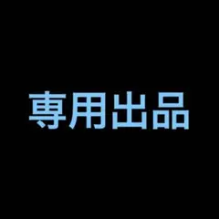 専用出品333