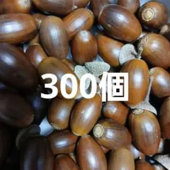 Item thumbnail for item ee83063e-235a-4e95-93c9-ed72727d3618