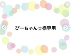 プリンセスドレス柄　キルティング　大きめレッスンバッグ　ハンドメイド