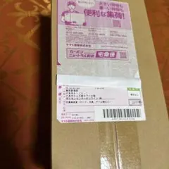 ポケモンセンタースペシャルボックスヒロシマ