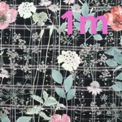 リバティ　タナローン　イルマズガーデン　1m