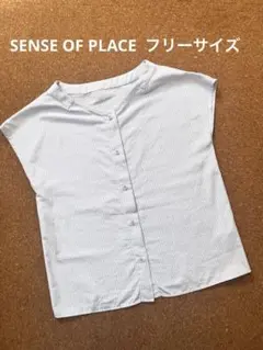 センスオブプレイス フレンチスリーブ ストライプ ブラウス フリー 水色 速乾のサムネイル