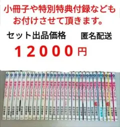 【帯付多数】純情ロマンチカ　既刊全巻セット　1-29 純情ロマンチカ 1〜29巻 全巻セット 中村春菊