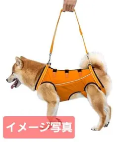 犬用介護ハーネス歩行補助老犬 けが 手術後リハビリ介護用品 ( S)のサムネイル