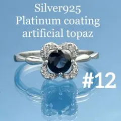 Item thumbnail for item 860a09ae-c6c6-4811-952c-c89d7be15b2a