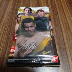 RIZIN ウエハース25 No.09 エドポロキング