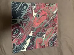 Ki-Yan Stuzio carpデザイン クッションカバー