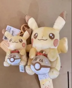 ポケモン 30周年記念 ピカピカ！ピカチュウ ぬいぐるみ マスコット 2点