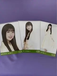 ひめたんの隠しミートボール様 リクエスト 3点 まとめ商品