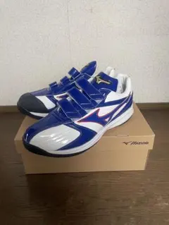 K様 専用 Mizuno Pro オーダーアップシューズ ブルー - メルカリ