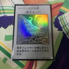 ハーピィの羽根帚 ウルトラ モノクロ
