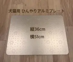 Item thumbnail for item e7465613-166d-4544-b201-3746f88da3f3