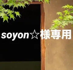 soyon☆様専用 おまとめ同梱