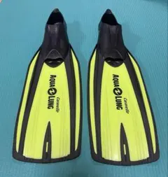 Item thumbnail for item 76d5801d-482b-4150-8320-7f4dff915168