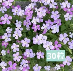 ( •̀ᴗ•́ )断捨離中様 リクエスト 3点 まとめ商品