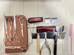 Item thumbnail for item 22dec139-cdcb-4e1e-b110-3d869886e51e