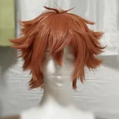 IDOLiSH7 アイドリッシュセブン アイナナ コスプレ ウィッグ 七瀬陸