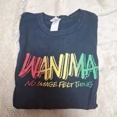 WANIMA　Pizza Of　Death Tシャツ