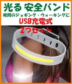 Item thumbnail for item aaeda866-dde8-46e4-bb1f-50144ba46fcc