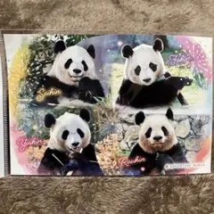 2026年最新】パンダポストカードの人気アイテム - メルカリ