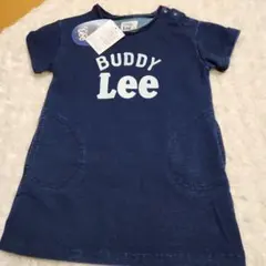 Item thumbnail for item 181cb348-2af4-486b-8694-14e87b0c14dc