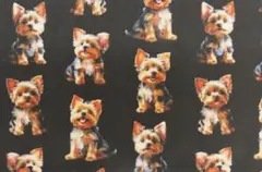 kazoo様 リクエスト 2点 まとめ商品