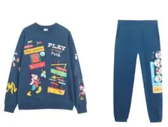 WDW 海外ディズニーパーク M PLAY IN THE Park セットアップ