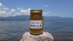 日本蜜蜂　蜂蜜　びわこ比良山麓　600ｇのサムネイル