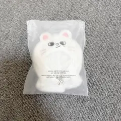 スキズ ペンミ ぬい ヒョンジン