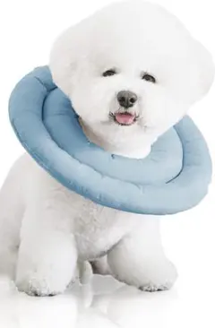 エリザベスカラー 【獣医師監修】 犬 猫 引っ掻き防止 Ｓサイズ